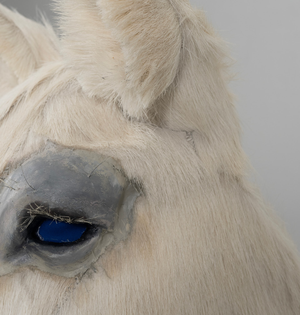 Detail of the horse mask, eye and muzzle